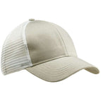 Dolphin/ White