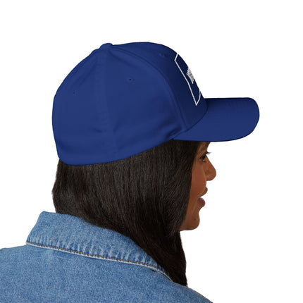 Custom Embroidered Structured Cap - Flexfit 6277