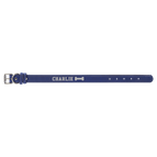 Blue/Silver