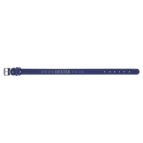 Blue/Silver