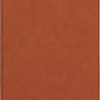 Rawhide